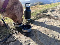 Dog Water Bottle for Walking & Travel | 900ml Buddy Bottle | Insulated Stainless Steel Bottle with Bowl, Leakproof