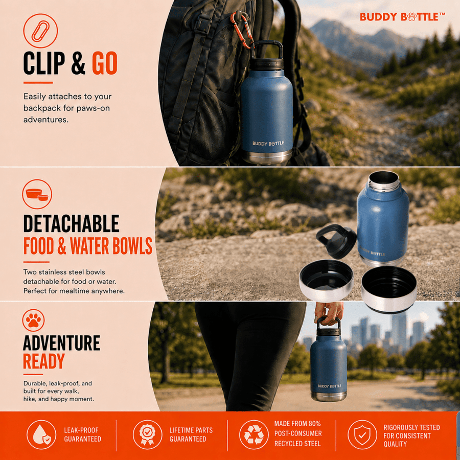 Dog Water Bottle for Walking & Travel | 900ml Buddy Bottle | Insulated Stainless Steel Bottle with Bowl, Leakproof - BUDDYBOTTLE