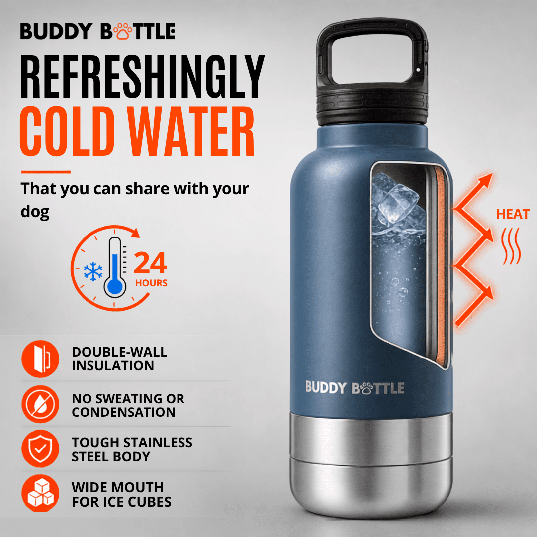 Dog Water Bottle for Walking & Travel | 900ml Buddy Bottle | Insulated Stainless Steel Bottle with Bowl, Leakproof - BUDDYBOTTLE