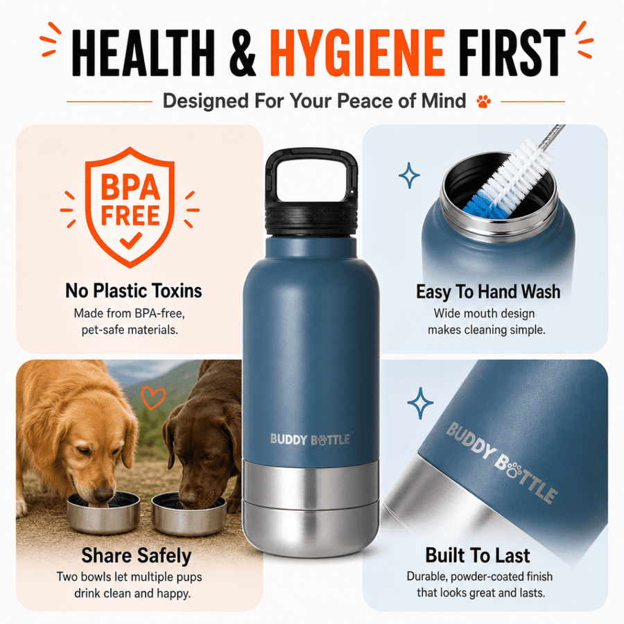 Dog Water Bottle for Walking & Travel | 900ml Buddy Bottle | Insulated Stainless Steel Bottle with Bowl, Leakproof - BUDDYBOTTLE