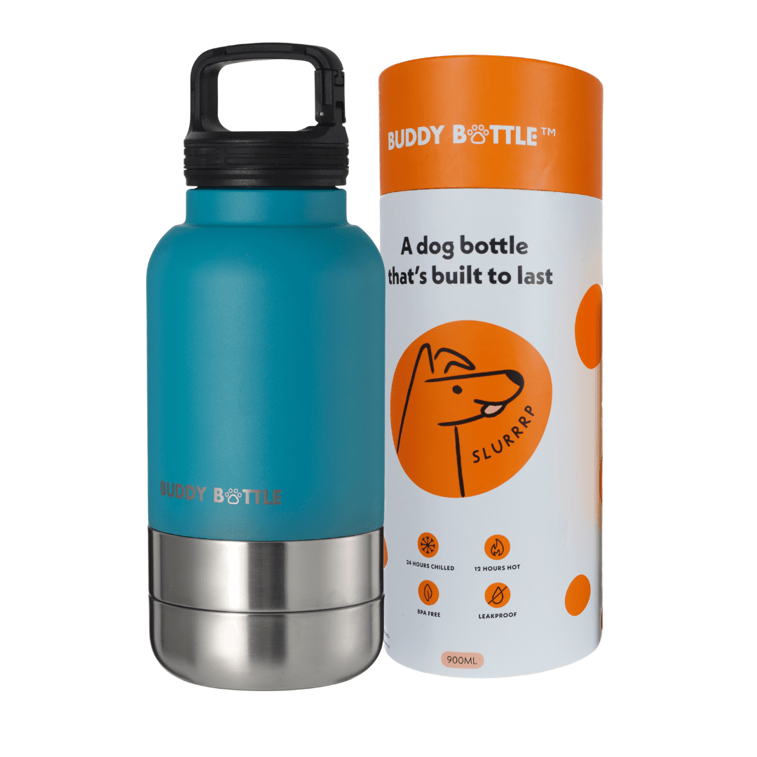 FETCHIN TEAL - 3 in 1 Portable Travel Water Buddy Bottle For Dogs - BUDDYBOTTLE