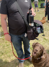 Dog Water Bottle for Walking & Travel | 900ml Buddy Bottle | Insulated Stainless Steel Bottle with Bowl, Leakproof