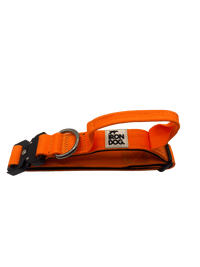Irondog® Control Collar – 2.5 cm - BUDDYBOTTLE