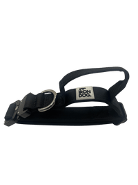 Irondog® Control Collar – 2.5 cm - BUDDYBOTTLE