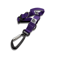 IRONDOG Lead & Collar Set - BUDDYBOTTLE