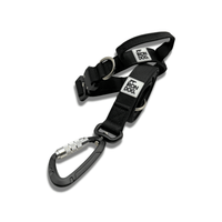 IRONDOG Lead & Collar Set - BUDDYBOTTLE