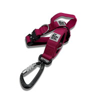 IRONDOG Lead & Collar Set - BUDDYBOTTLE