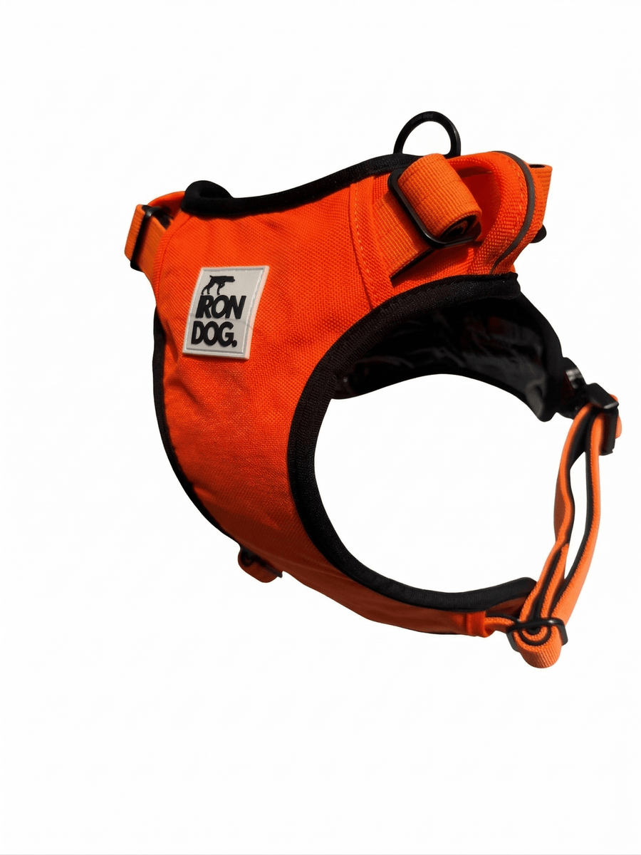 IRONDOG Premium Control Harness - BUDDYBOTTLE