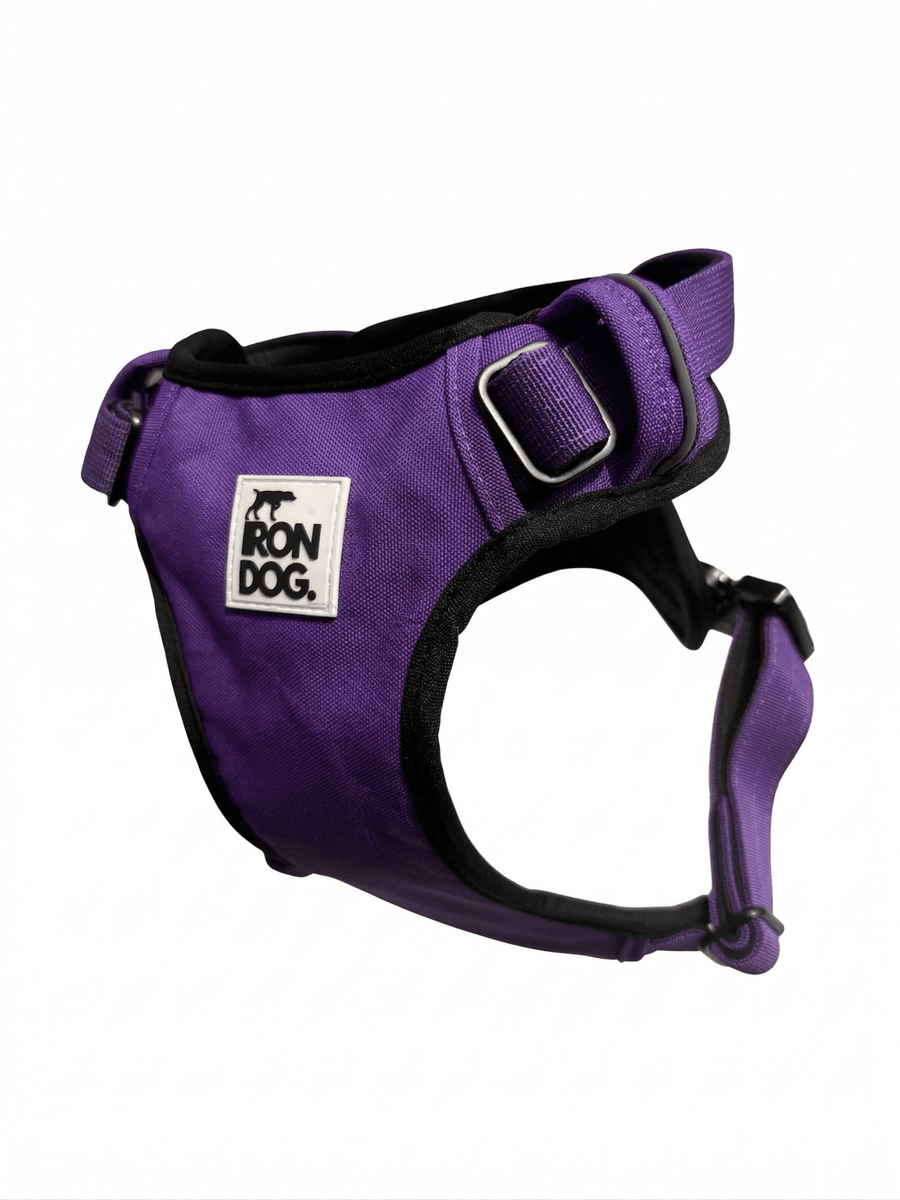 IRONDOG Premium Control Harness - BUDDYBOTTLE