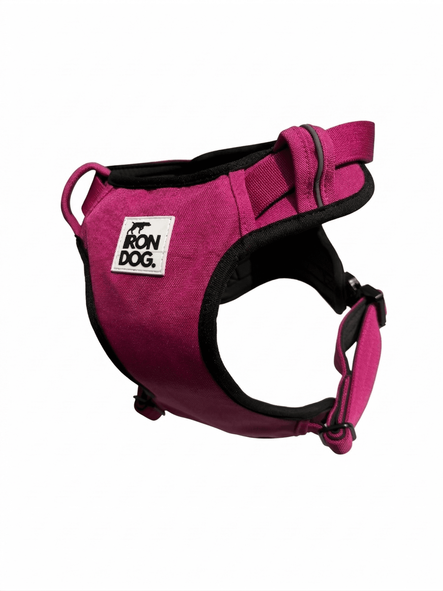 IRONDOG Premium Control Harness - BUDDYBOTTLE
