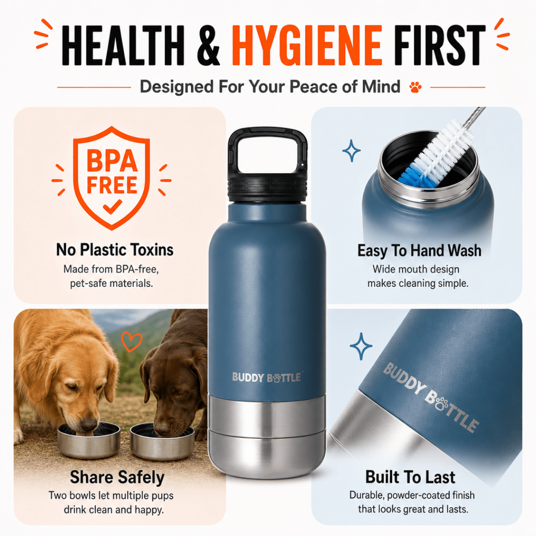 Dog Water Bottle for Walking & Travel | 900ml Buddy Bottle | Insulated Stainless Steel Bottle with Bowl, Leakproof