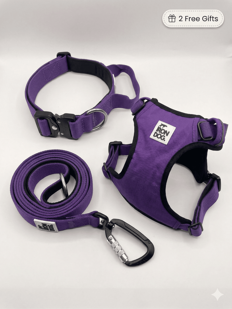IRONDOG dog harness and Buddy Bottle performance bundle set