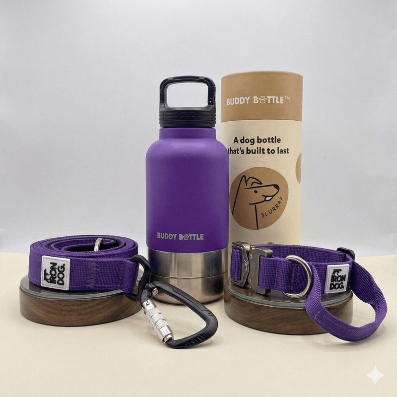 The Daily Walker - BUDDYBOTTLE