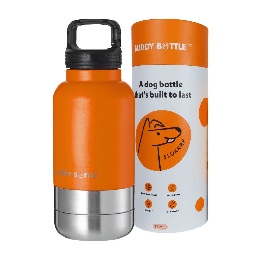 Buddy Bottle portable leakproof dog water bottle 900ml with built-in bowl